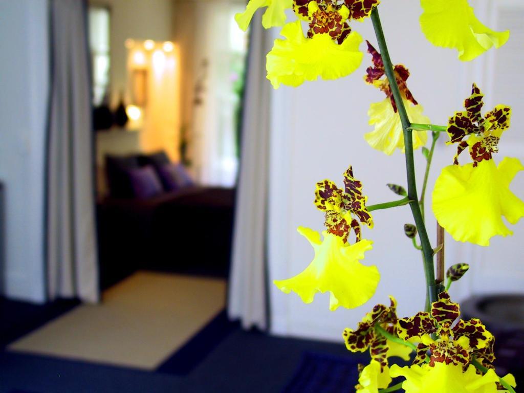 Palace B&B Amsterdam Rom bilde